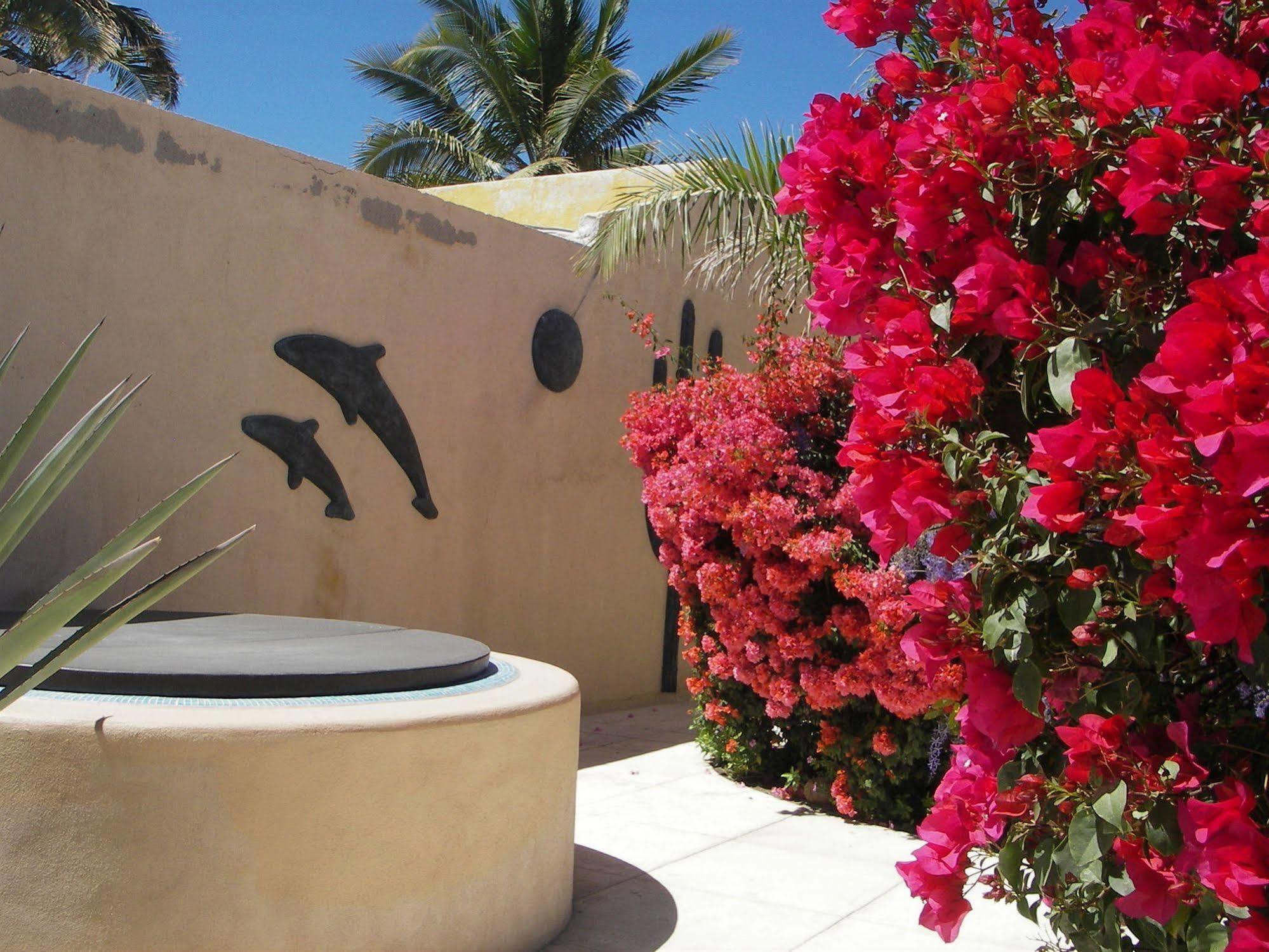 Casa Kootenay Waterfront Bnb La Paz Exterior foto